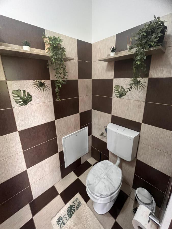 Natura City Center Studio Brašov Exteriér fotografie